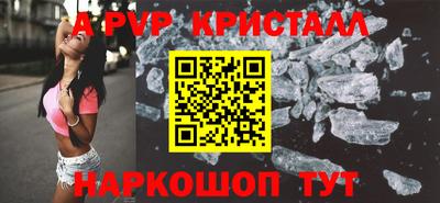стаф Можга