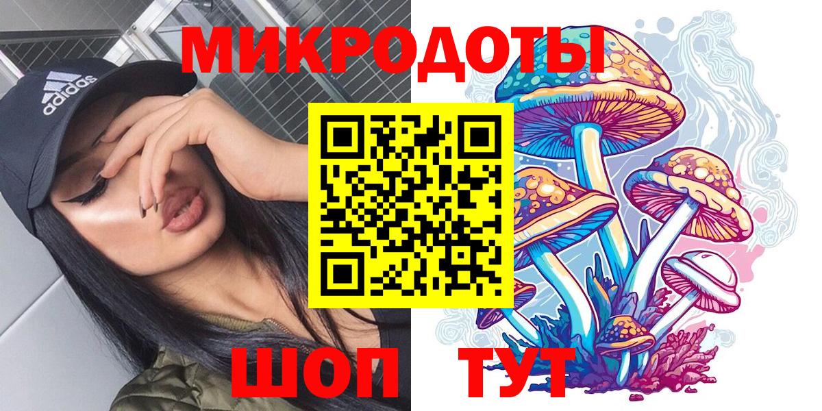 Стрежевой  Галлюциногенные грибы Psilocybine cubensis  Вход с VPN 